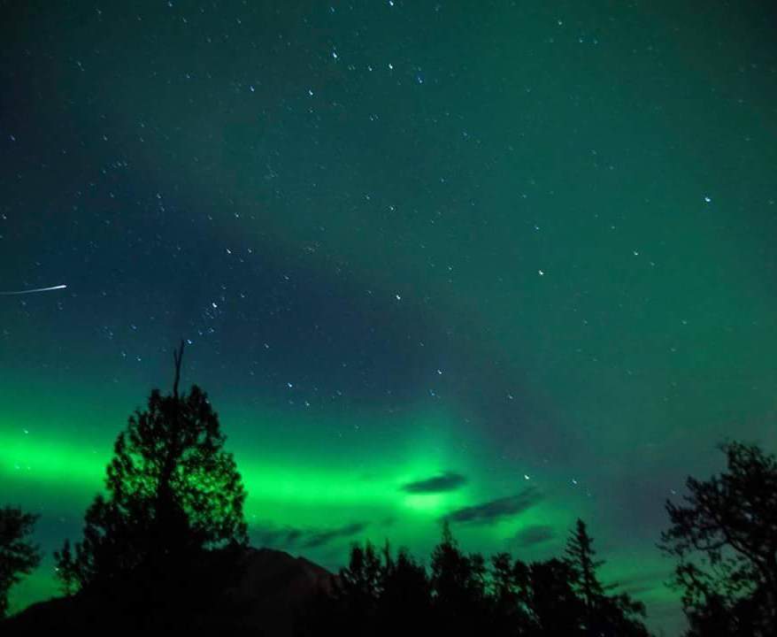 Aurora Borealis lights up the night sky with magic